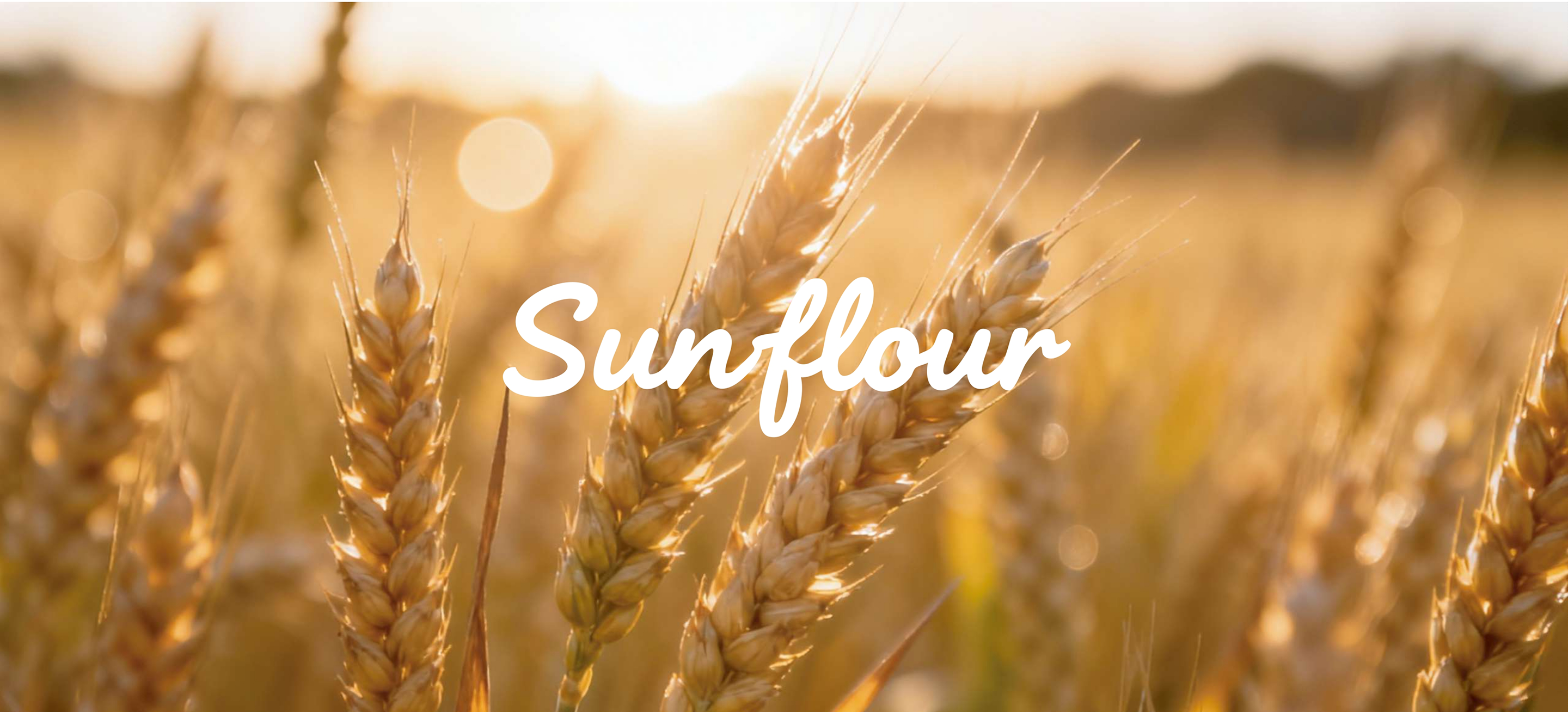 Packaging design of sunflour bakery Packaging design of sunflour bakery