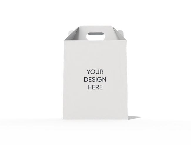 Carrying handle snap lock gable box