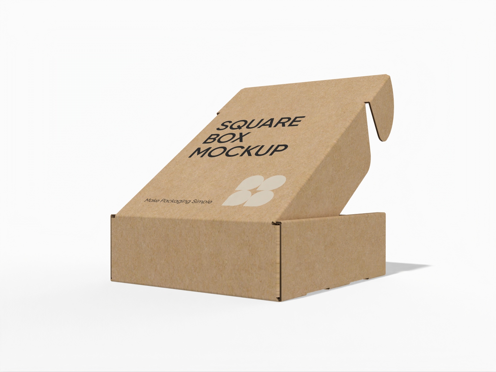 Square box packaging mockup