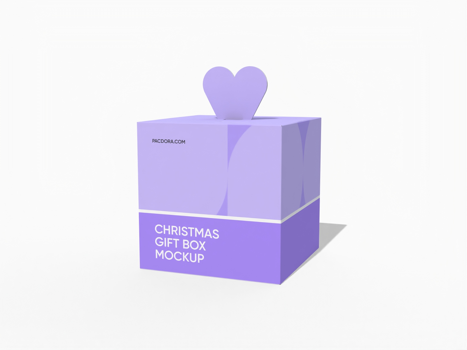 Christmas fruit gift box packaging mockup