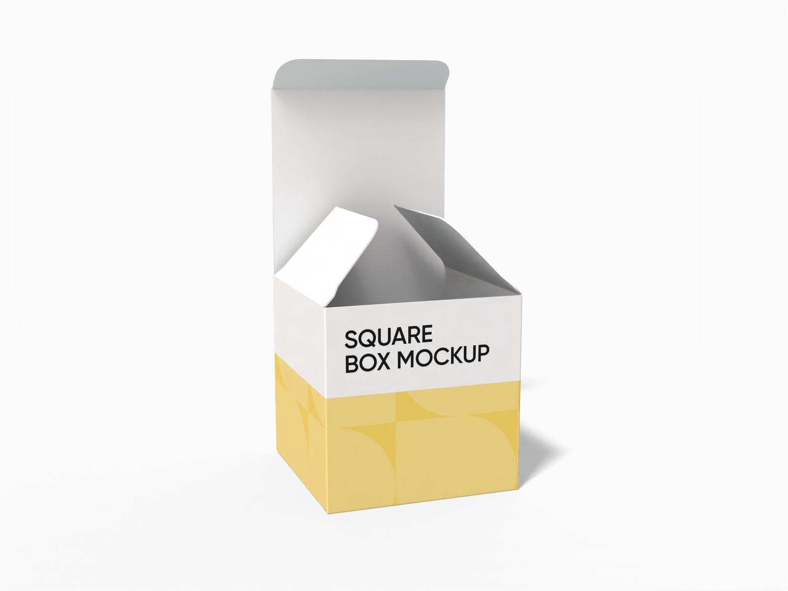 Square box mockup