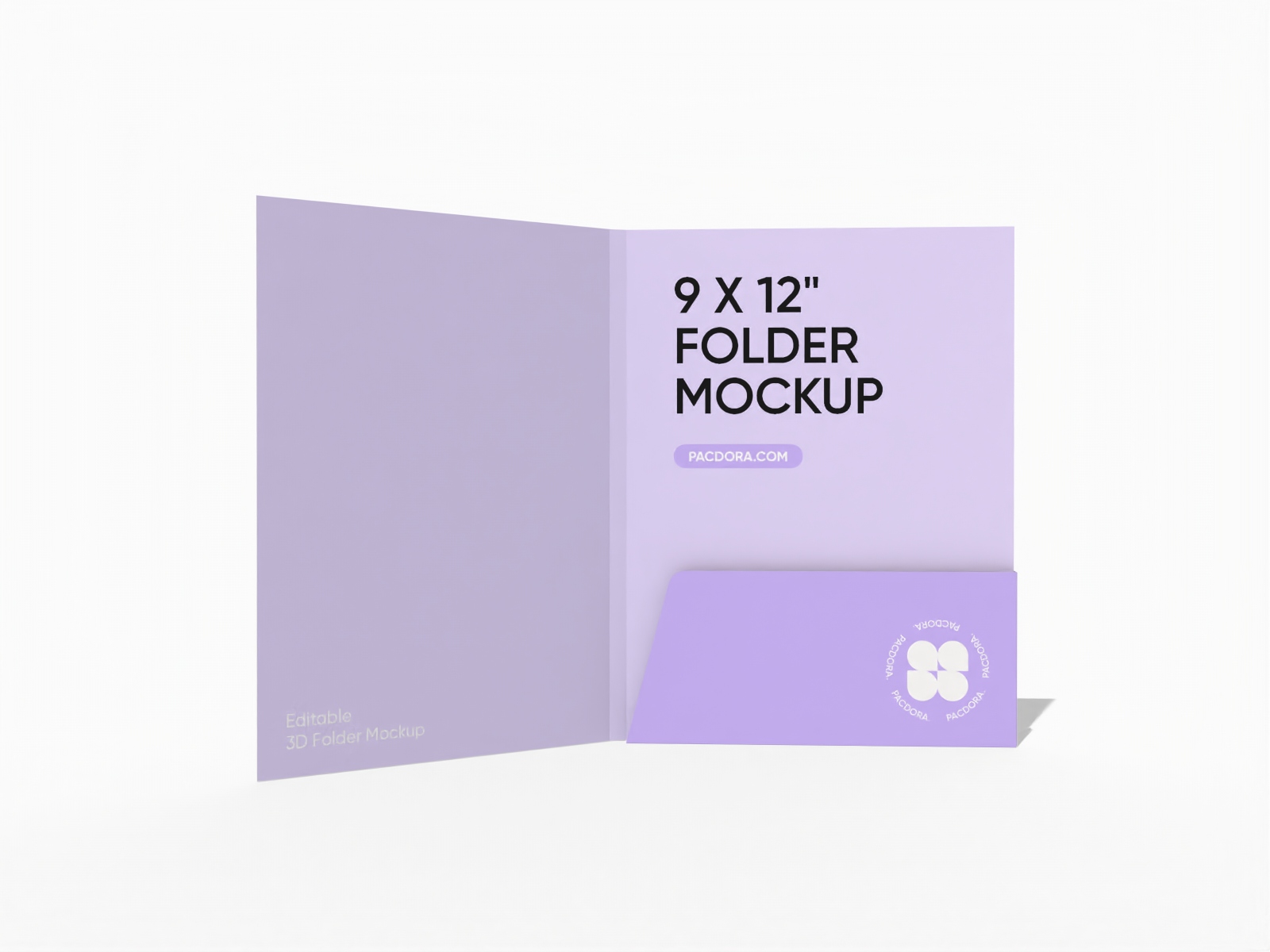 Standard file folder mockup