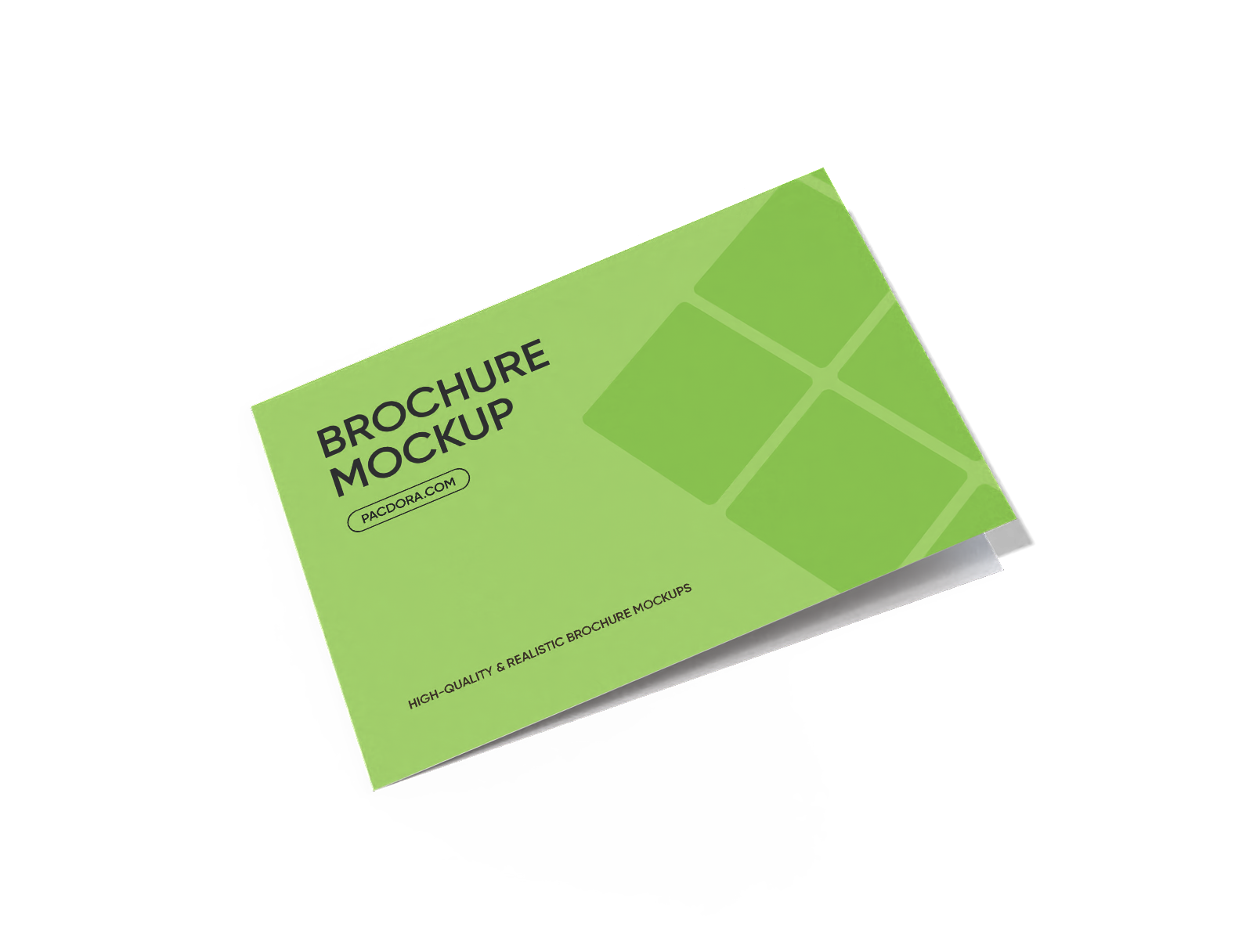 Brochure Mockup Half Folded