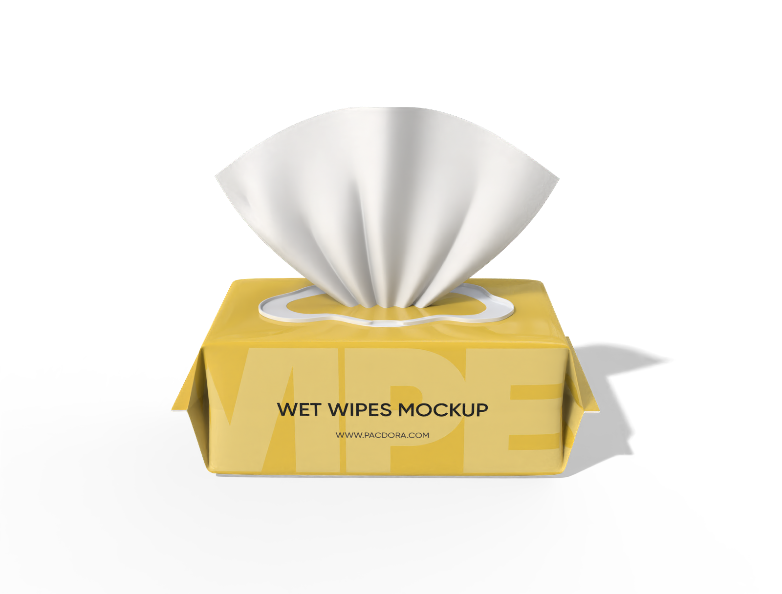 17 × 10 × 7 wet wipes pouch mockup