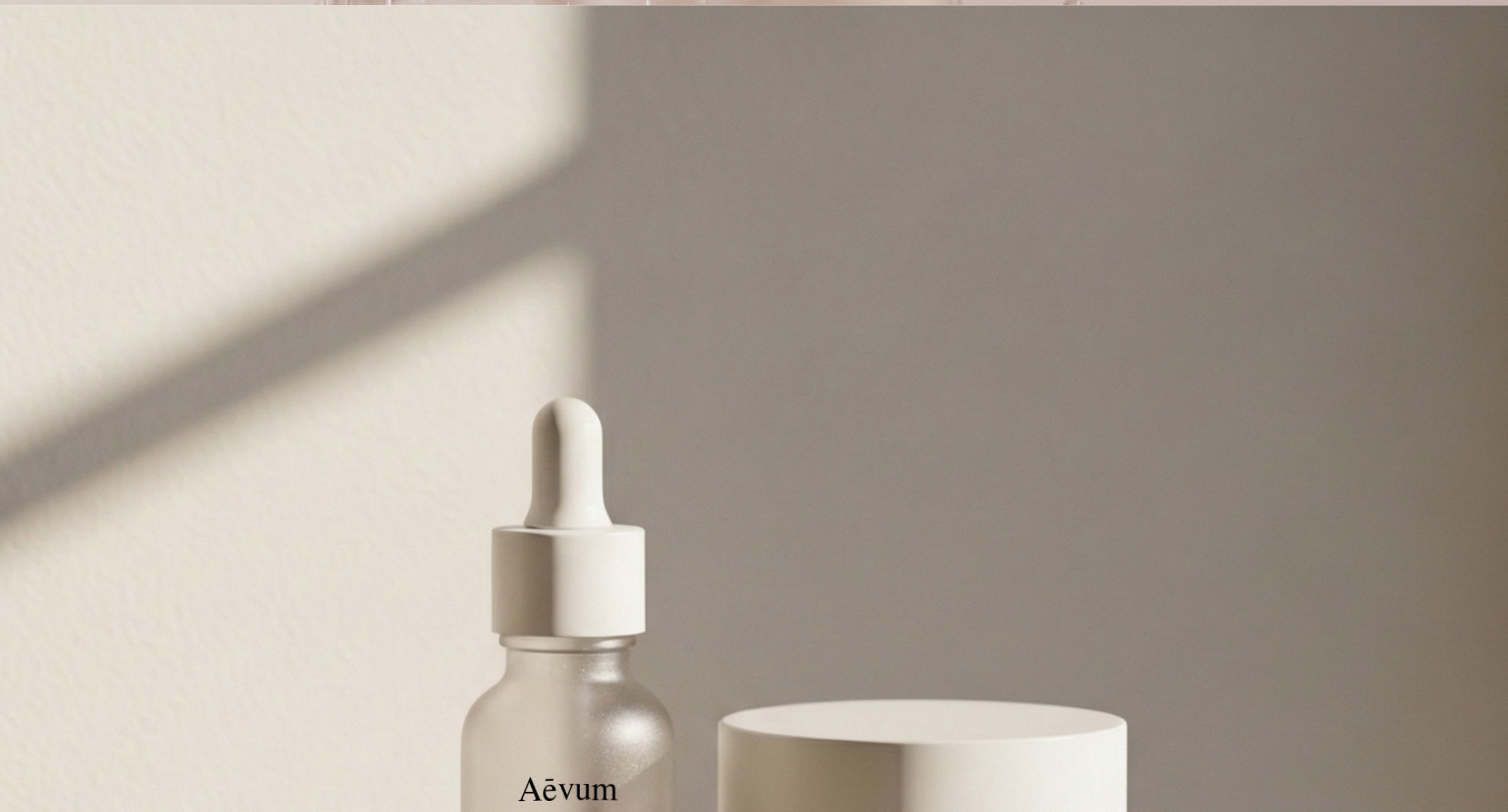 A visual identity: soft light. clean lines