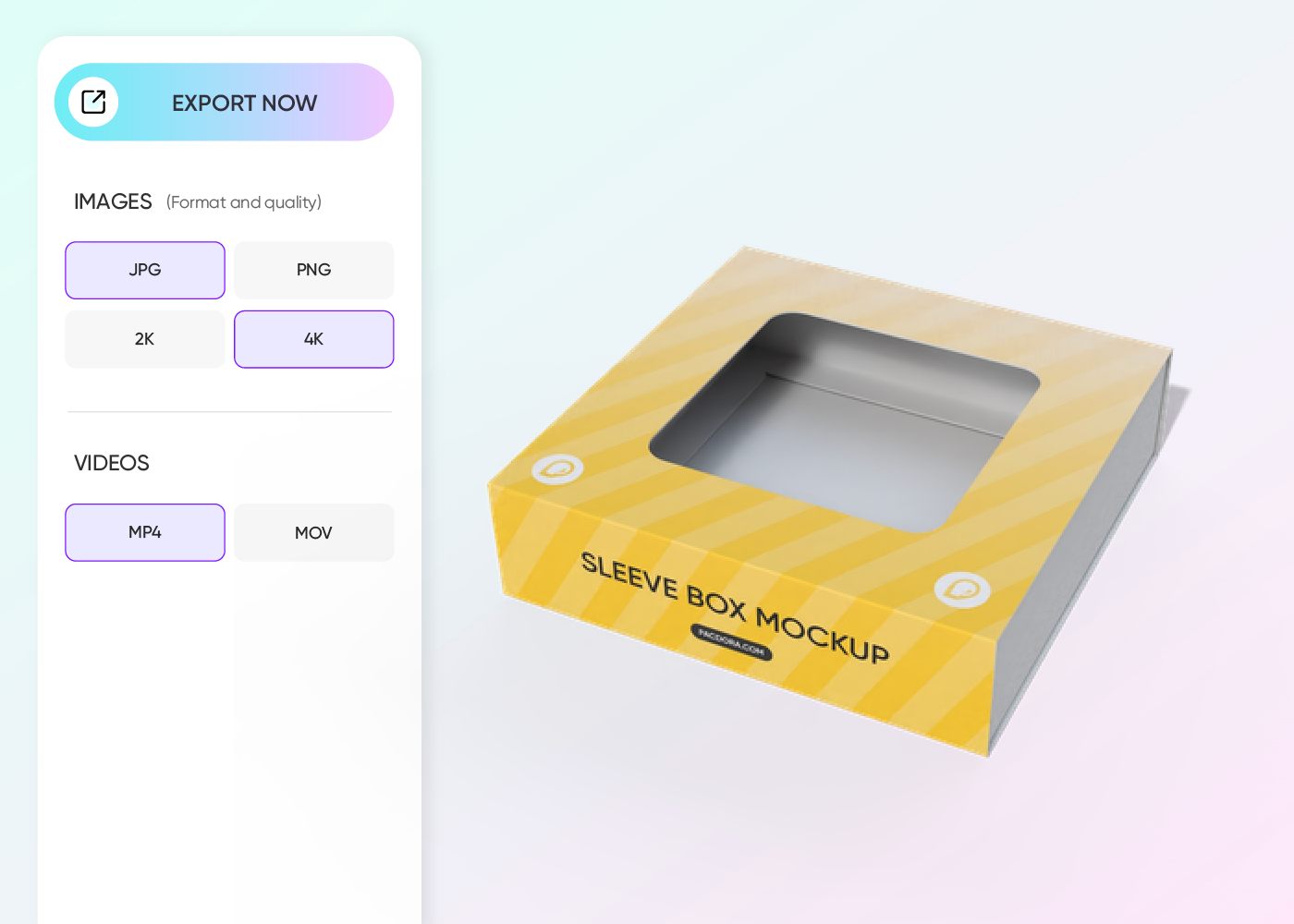 Step 3: Download your packaging mockup